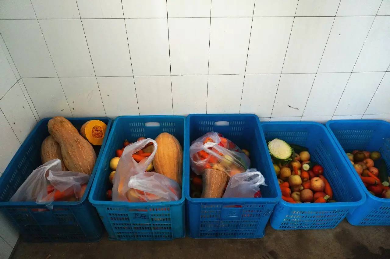 雅戈尔动物园门票免费几天,国庆节雅戈尔动物园免门票吗