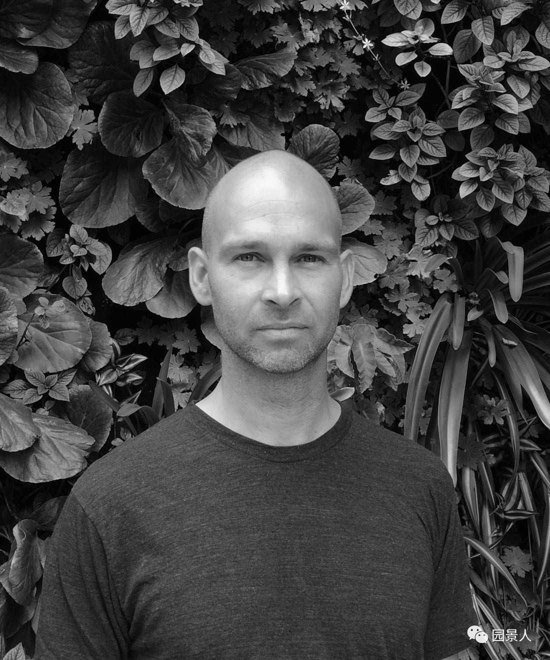 一说到垂直绿化,脑袋里就蹦出他,他,他(附失败案例经验总结)