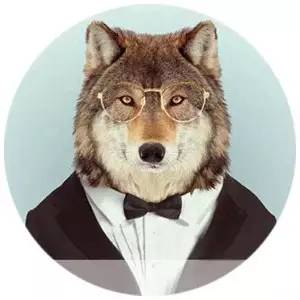 狼叔室内设计师,狼叔设计