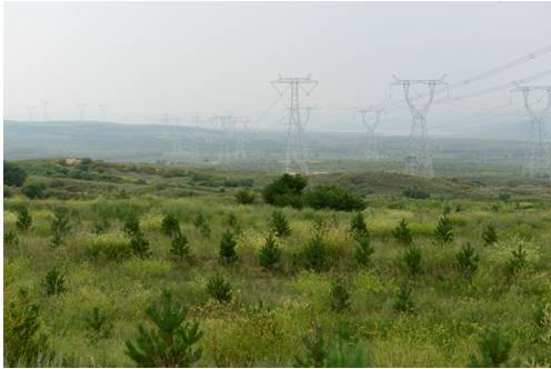 多伦县生态建设,多伦县原生态草原