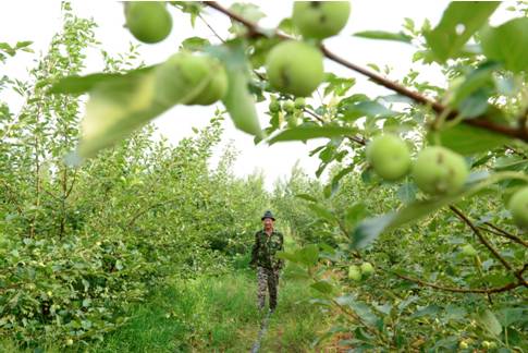 多伦县生态建设,多伦县原生态草原