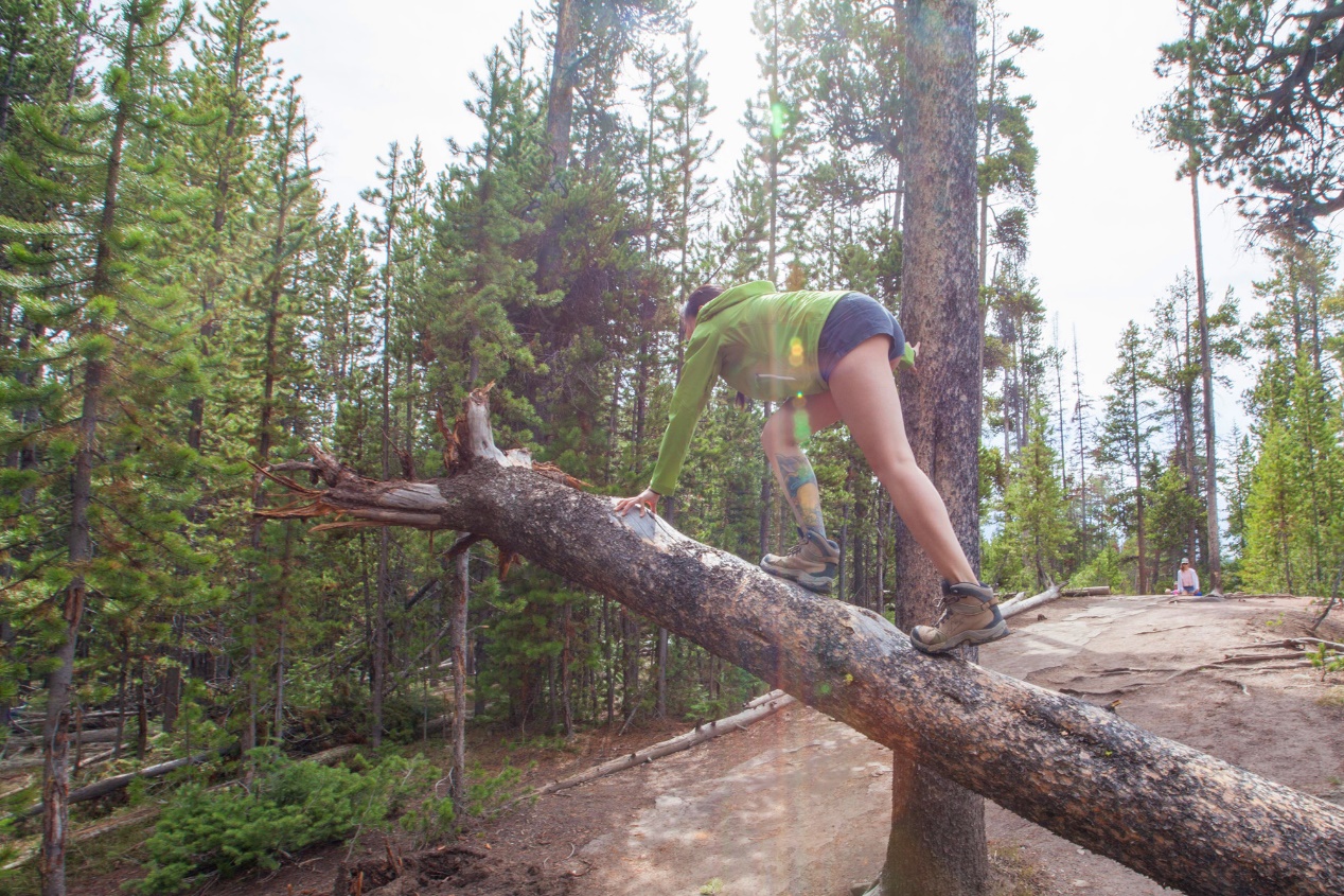 女士美式冲锋衣测评,patagonia冲锋衣适合温度