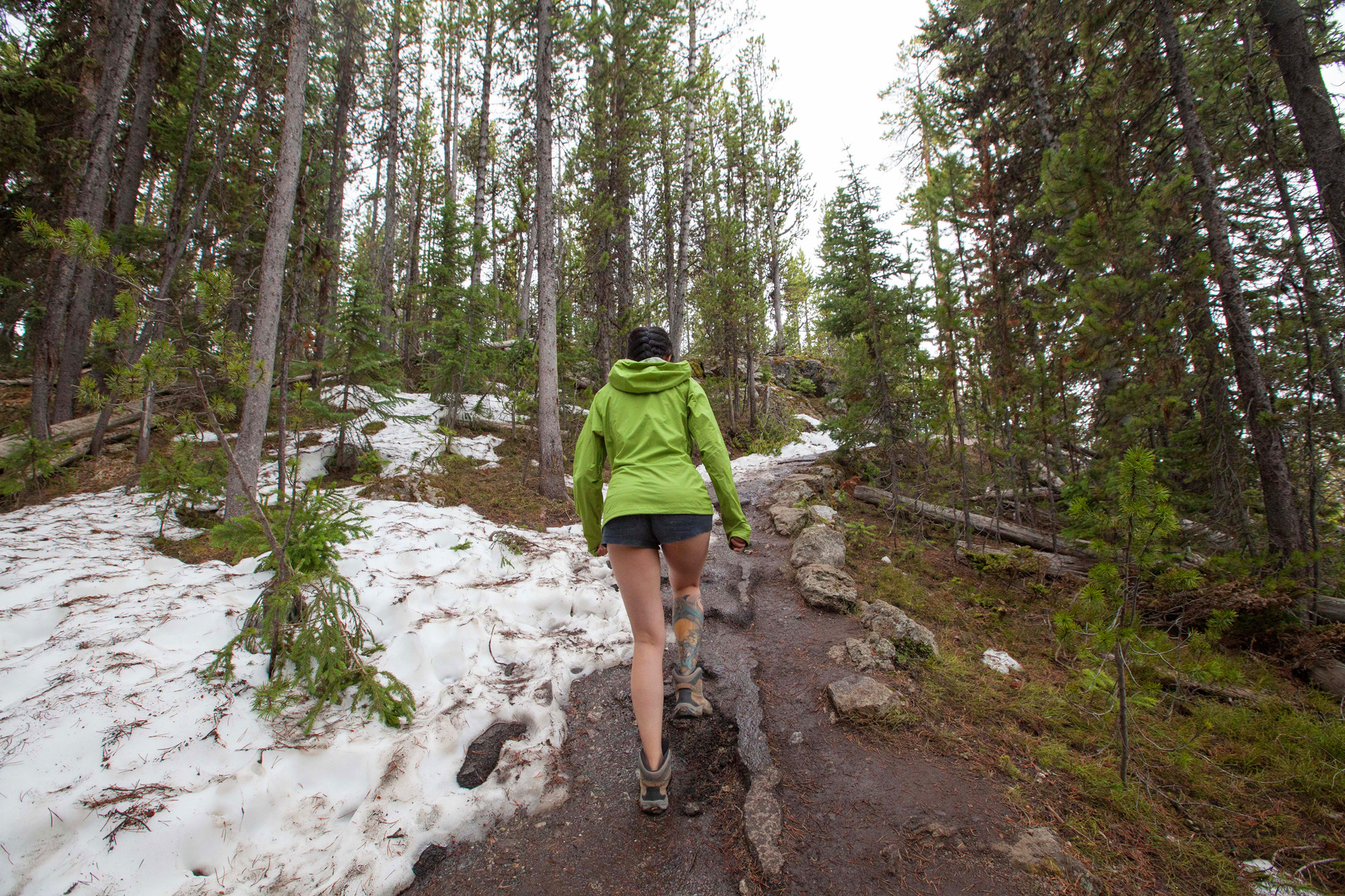 女士美式冲锋衣测评,patagonia冲锋衣适合温度