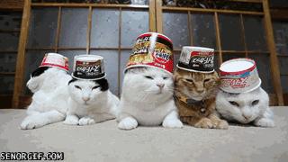 不用花钱就能买到很多的鞋子,不用很多钱就可以买到好鞋