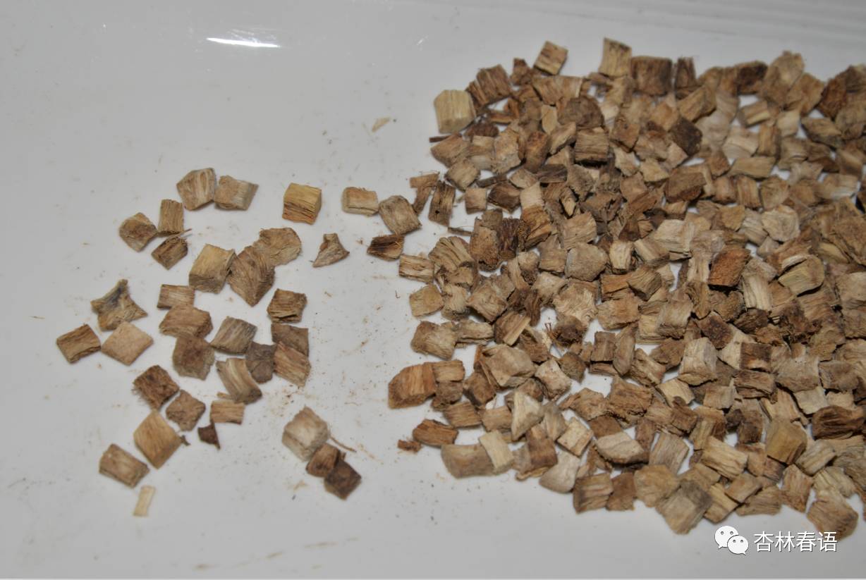 中药的葛根和我们吃的葛根,论葛根的药膳食疗方