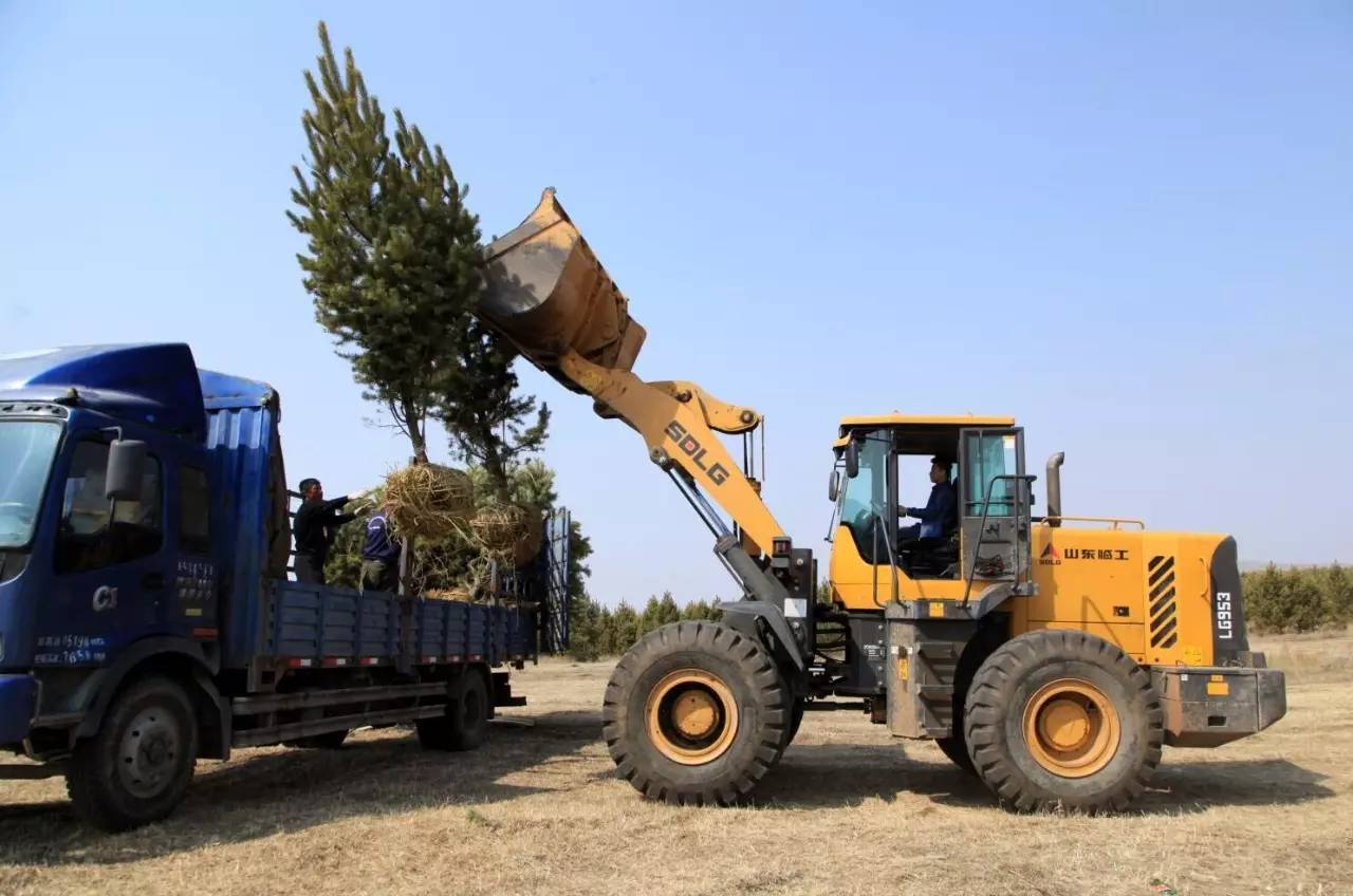 多伦县生态建设,多伦县原生态草原