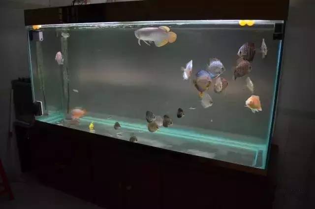 你还在傻傻的补水吗,你还在傻傻的浮潜吗