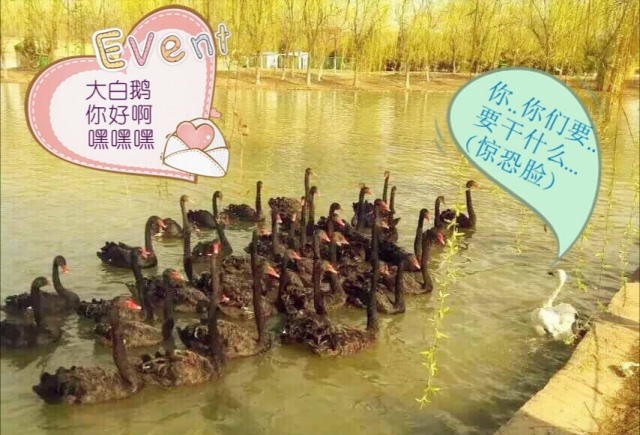 工大抖音官方,工大最新信息网课