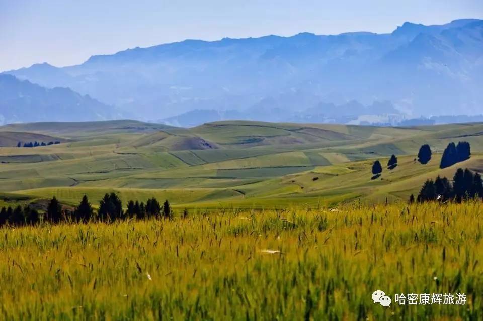 美绝了！全哈密的人都往这里跑~