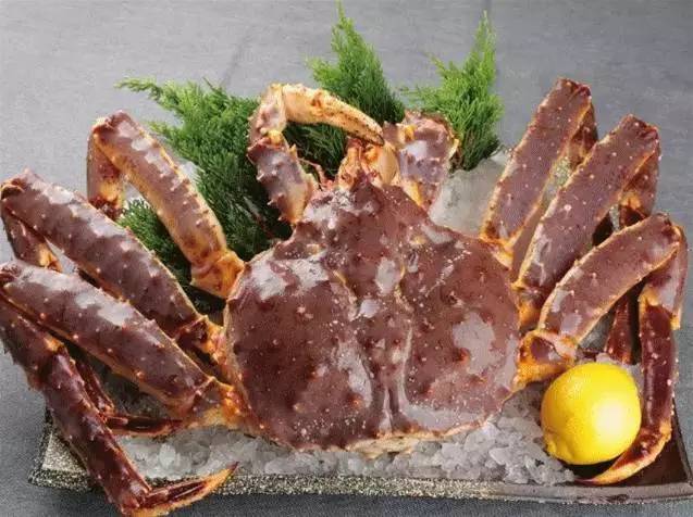 七宝万科探店怎么样,不吹不黑的国货