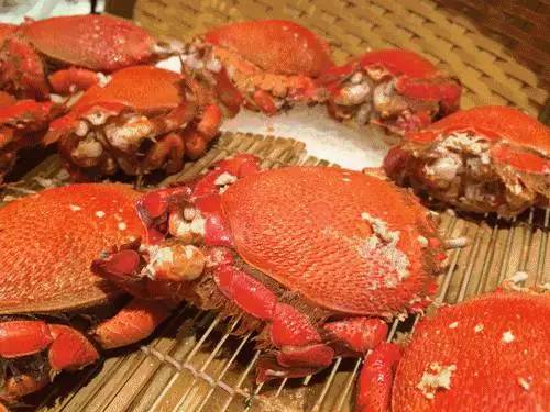 七宝万科探店怎么样,不吹不黑的国货