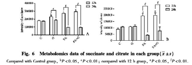 糖尿病肾病机制研究进展,糖尿病患者的代谢紊乱及其机制