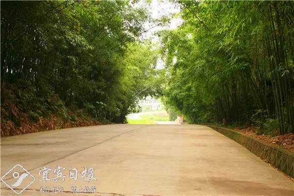 看金山银山全景图,看绿水青山美景