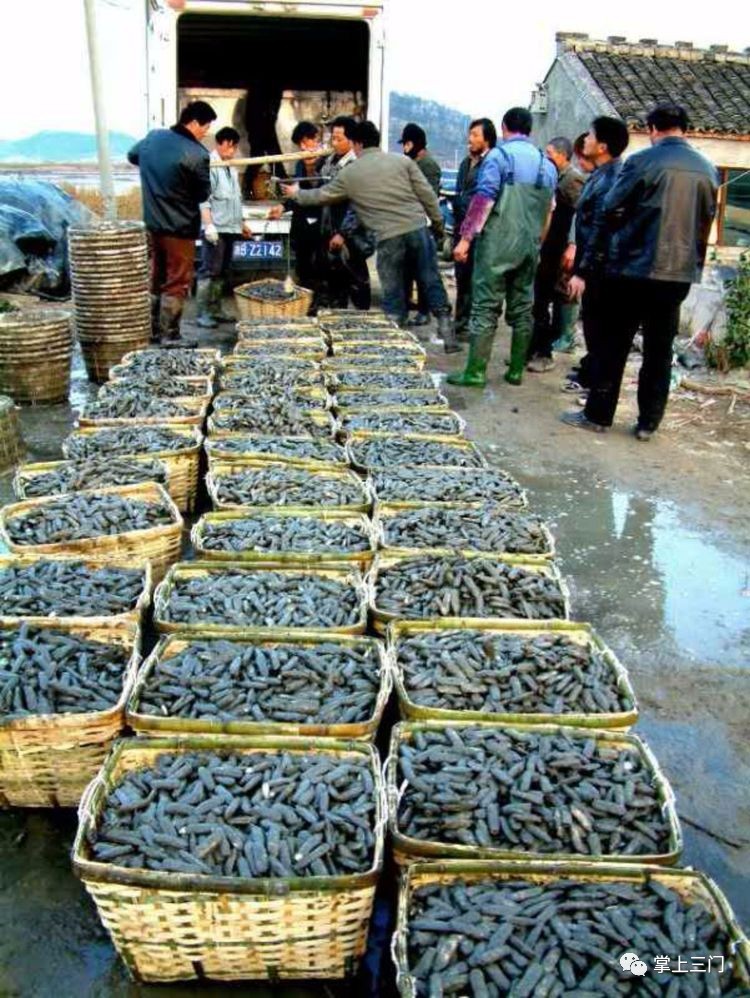 杭州吃货福利！县四套班子领导齐上阵，在省人民大会堂为三门小海鲜“吆喝”！