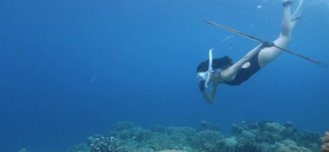 韩国钓鱼违法,韩国钓鱼合法吗