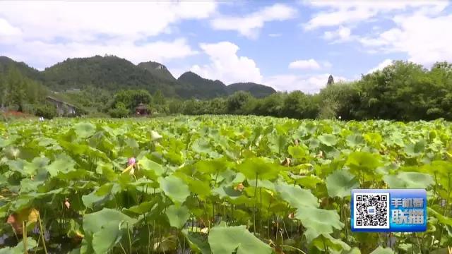 花溪十里河滩：打造水岸美景让远方的客人留下来