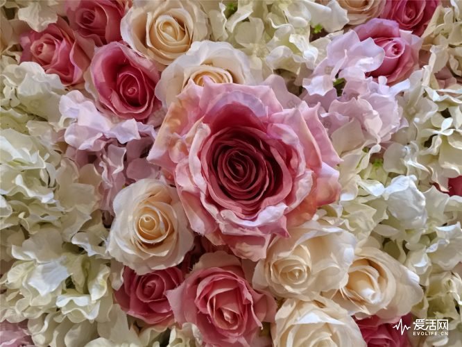 魅族pro7plus游戏测评,魅族pro7plus顶配版测评