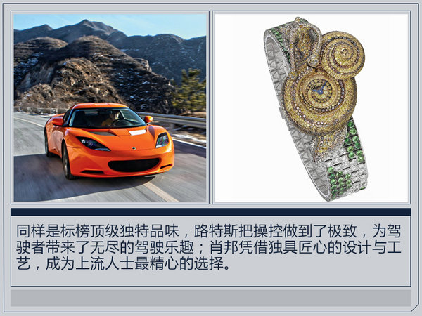 劳力士江诗丹顿百达翡丽积家,积家和劳力士哪个表最保值