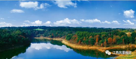 江西共青城风景区,走遍江西100县