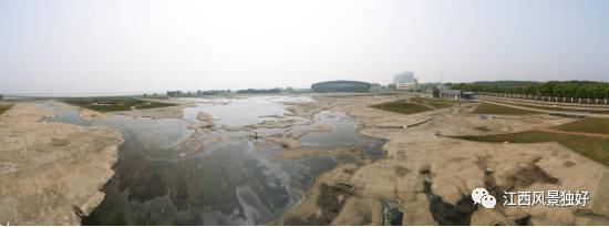 江西共青城风景区,走遍江西100县