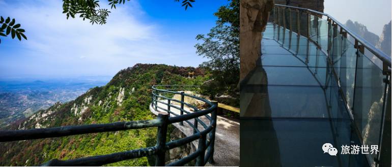 天蒙世界第一人行悬索桥,玩的就是心跳的景区