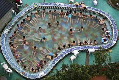 动物们开始工作,动物们开始冒险