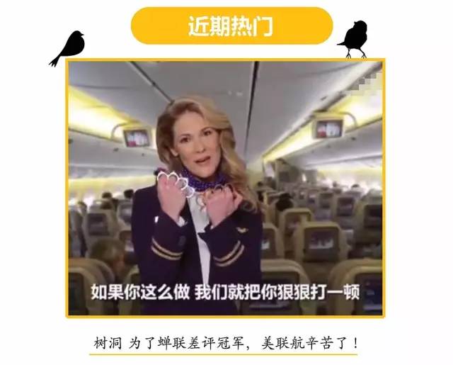 动物们开始工作,动物们开始冒险