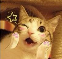 青岛最有逼格的餐厅,青岛最有逼格高端餐厅