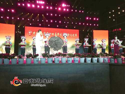 2022南华野生菌美食文化节演唱会,祝贺南华野生菌美食节开幕