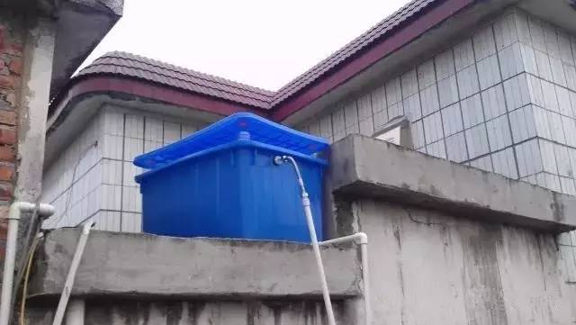 你还在傻傻的补水吗,你还在傻傻的浮潜吗