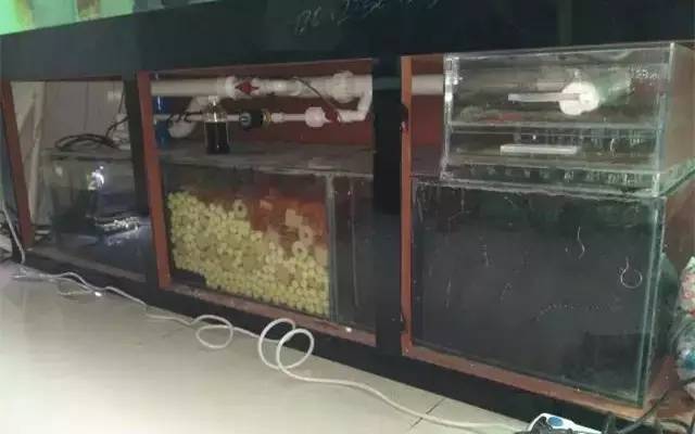 你还在傻傻的补水吗,你还在傻傻的浮潜吗