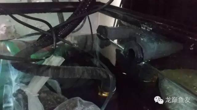 你还在傻傻的补水吗,你还在傻傻的浮潜吗