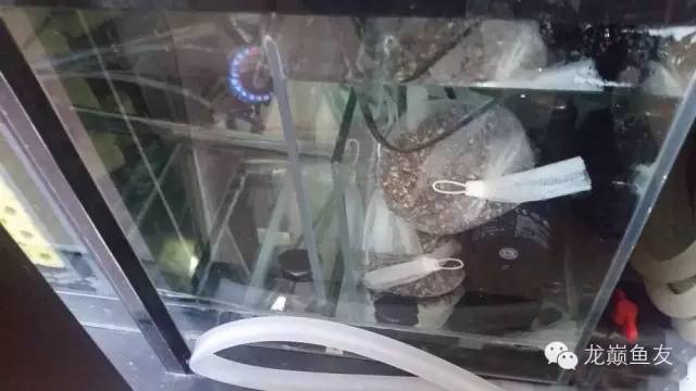 你还在傻傻的补水吗,你还在傻傻的浮潜吗