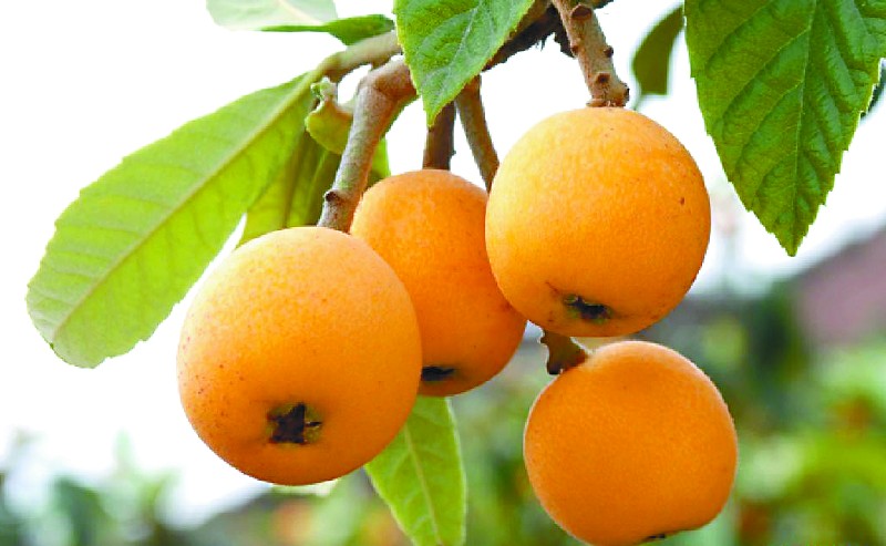 云霄电商平台做什么,云霄电商产业园