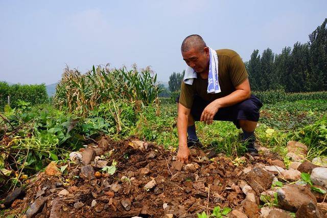 美丽乡村永丰镇三元村,2024年源泉镇西高村