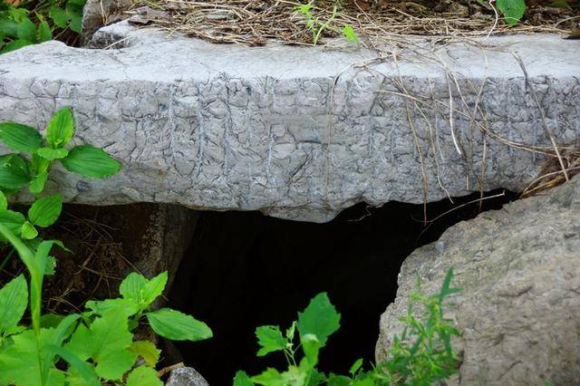 美丽乡村永丰镇三元村,2024年源泉镇西高村