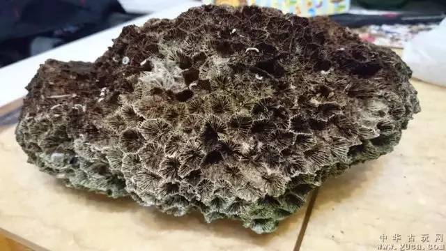 广西布达拉宫全景图,广西的布达拉宫让人惊呆