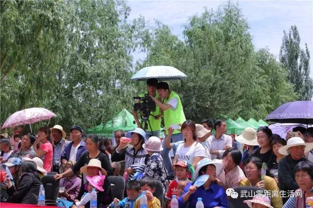 2017年武山县广场舞大赛,武山最新广场舞