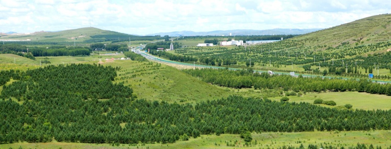 多伦县生态建设,多伦县原生态草原