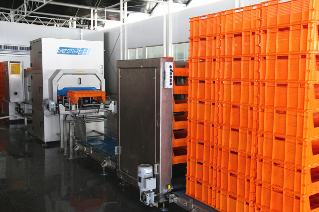 无土栽培蔬菜生产全过程,简易大棚种植无土栽培蔬菜技术