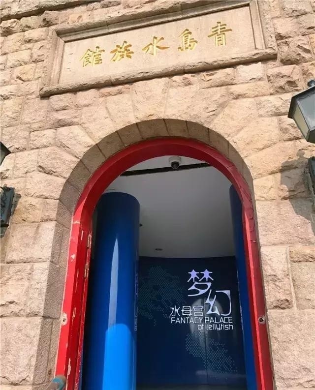 聊城市海底世界,聊城海底世界真实视频