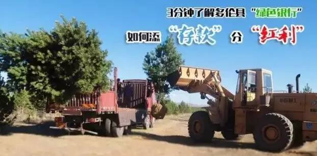 多伦县生态建设,多伦县原生态草原