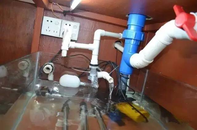 你还在傻傻的补水吗,你还在傻傻的浮潜吗