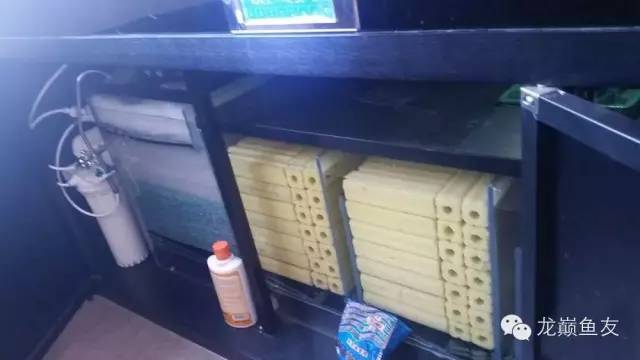 你还在傻傻的补水吗,你还在傻傻的浮潜吗