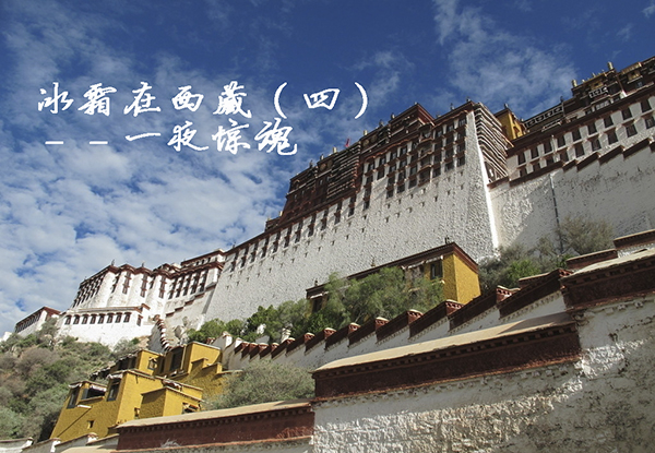 瑗胯棌绾绾綍鐗囧畬鏁寸増,绾瑗胯棌