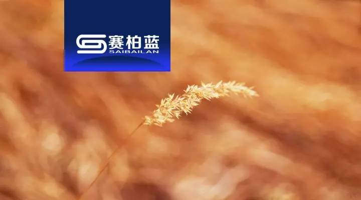 10种药品暂停销售,10个批号药品停用目录