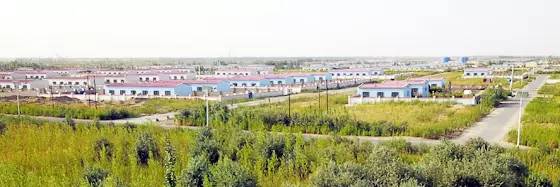 且末县城市风光,且末县生态改善