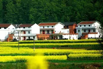 宅基地申请一直不给审批怎么办,农村宅基地一直不给审批怎么办