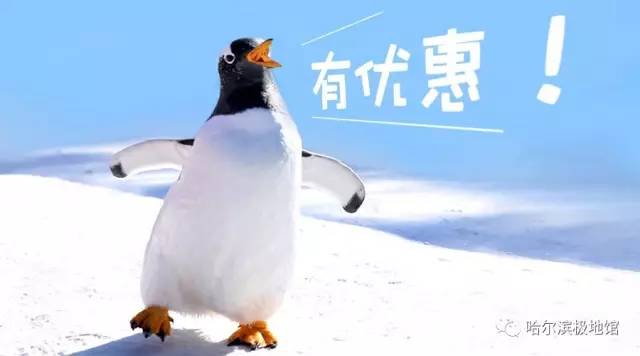孩子去极地馆总是玩不够?现在一家三口无限次畅游只要650元|还有机会抢免费门票
