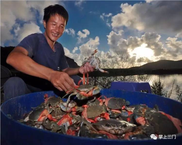 杭州吃货福利！县四套班子领导齐上阵，在省人民大会堂为三门小海鲜“吆喝”！